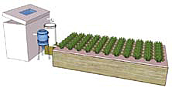 The Secret To Small-Lot Homesteading?